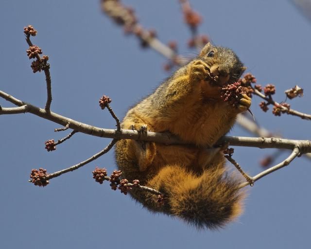 IMAGE: http://i206.photobucket.com/albums/bb298/truck3lt/IMG_2184.jpg