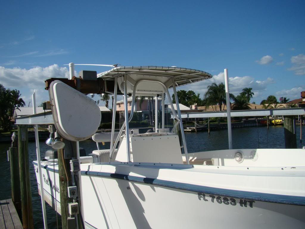 Makosideshot_zps263f899b.jpg