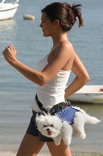 883doggiepurse1wr6.jpg