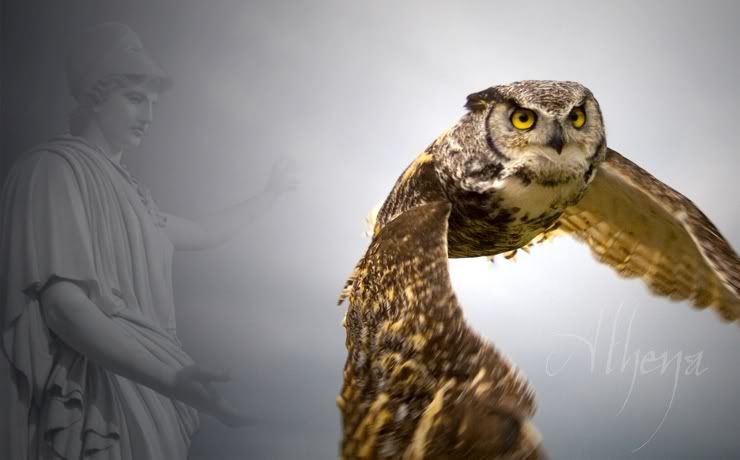 athena-owl.jpg