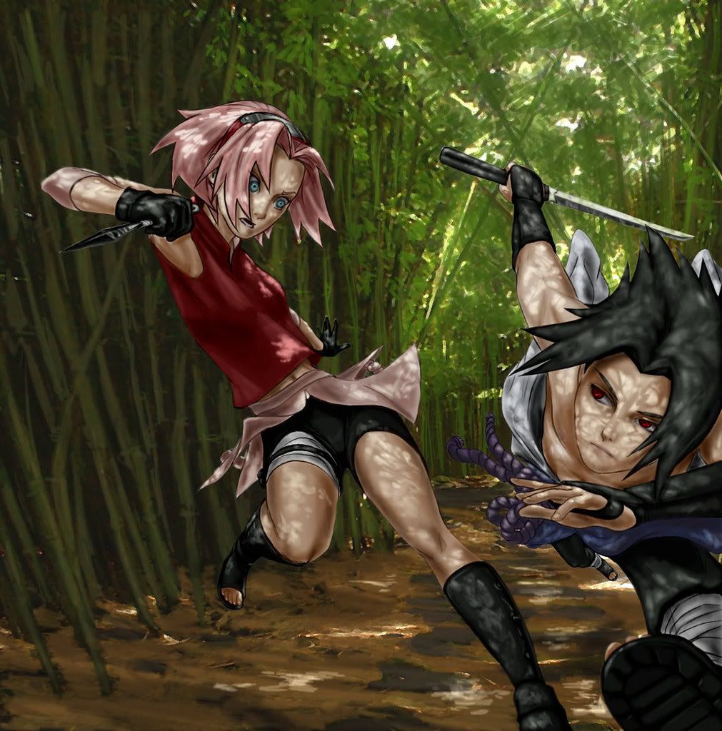 Sasuke & Sakura Fighting