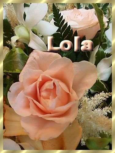 rosa-8lola.jpg picture by LOLILLA52