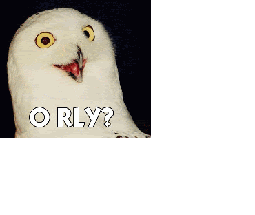 orly-2.gif