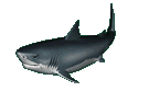 http://i206.photobucket.com/albums/bb306/drjxray/KillaSharks.gif