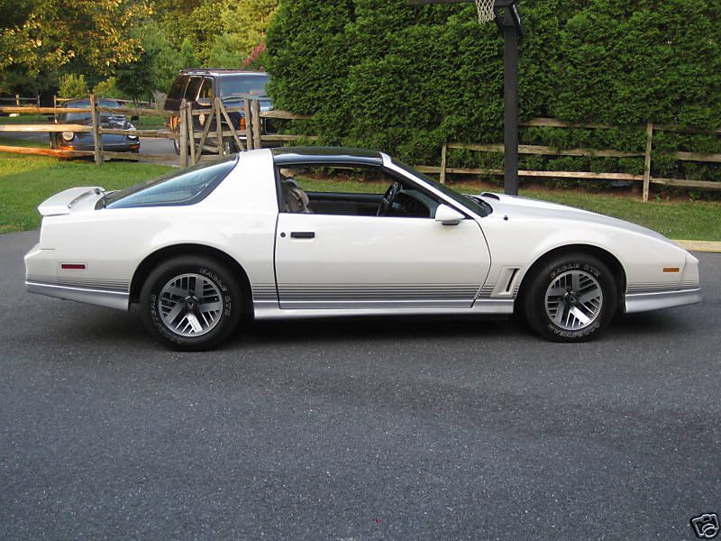 http://i206.photobucket.com/albums/bb308/Raptor3388/My%201984%20Trans%20Am/BWbDqTw2kKGrHgoH-CcEjlLlyiyvBKVTpfI.jpg