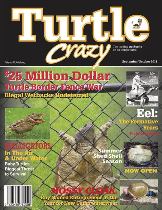 TurtleCrazy2011.jpg