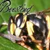 Beesting Avatar