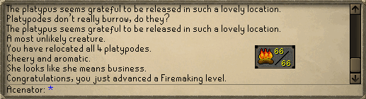 66firemaking.png