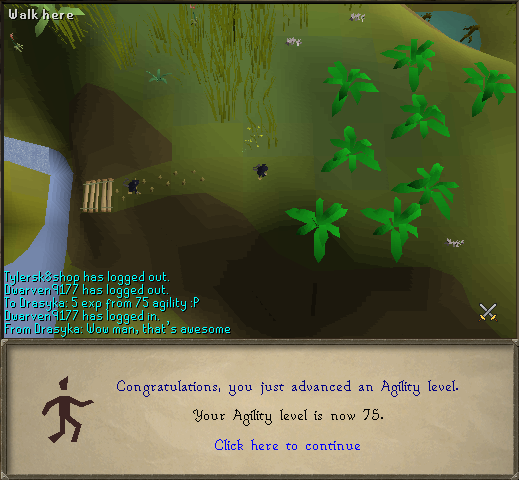 75agility.png