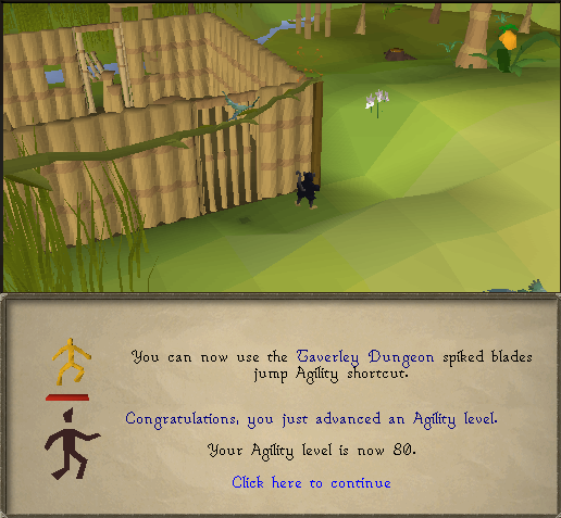80agility.png