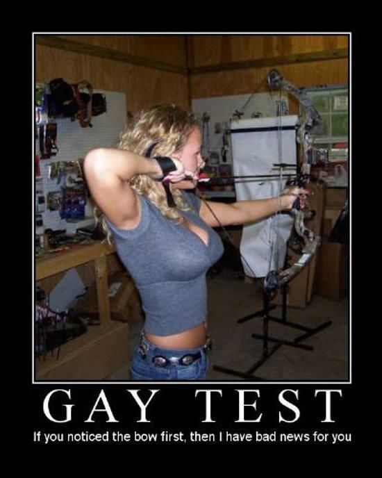 The Gay Test