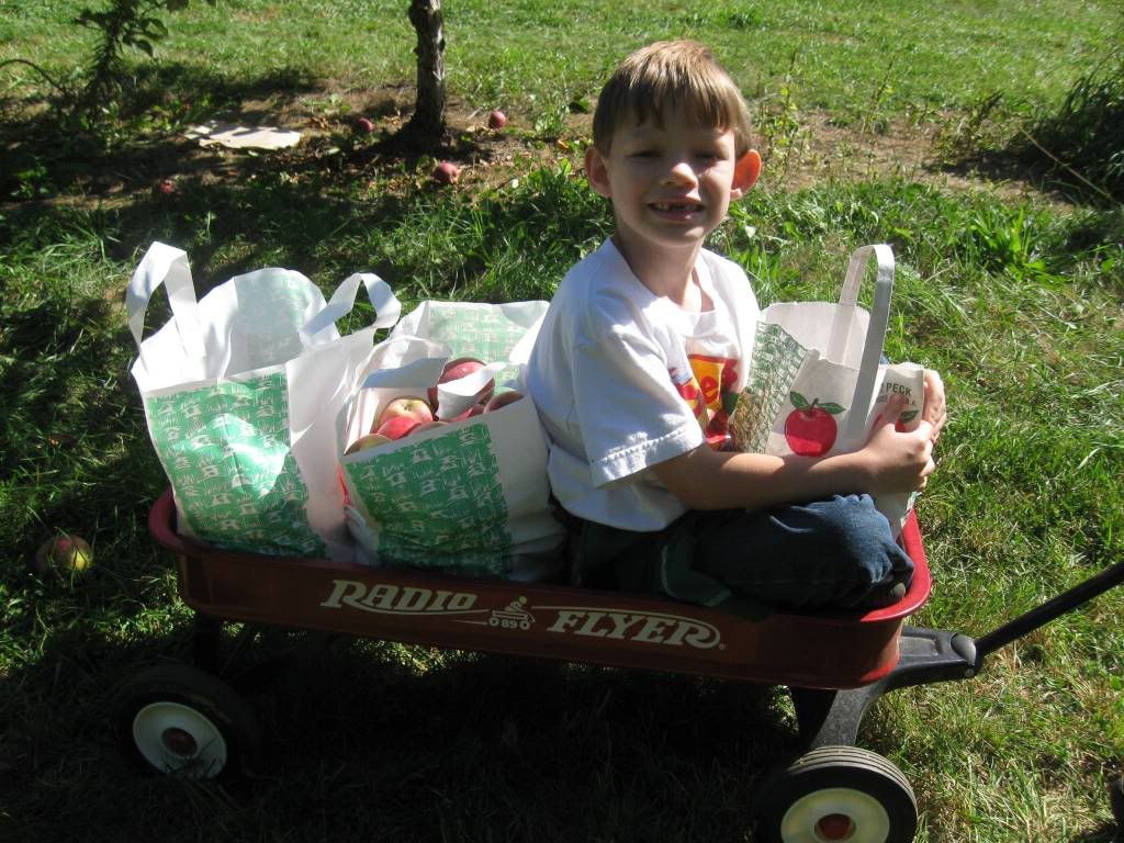 Applepicking10.jpg