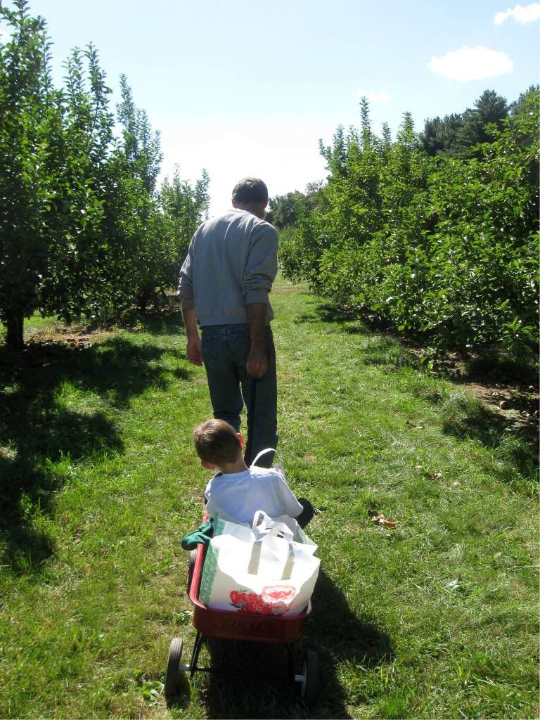 Applepicking11.jpg