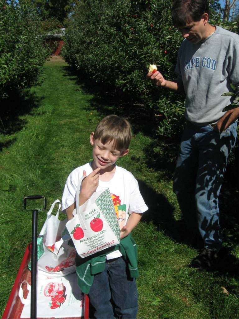 Applepicking6.jpg