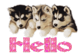 hello puppies god bless text graphics