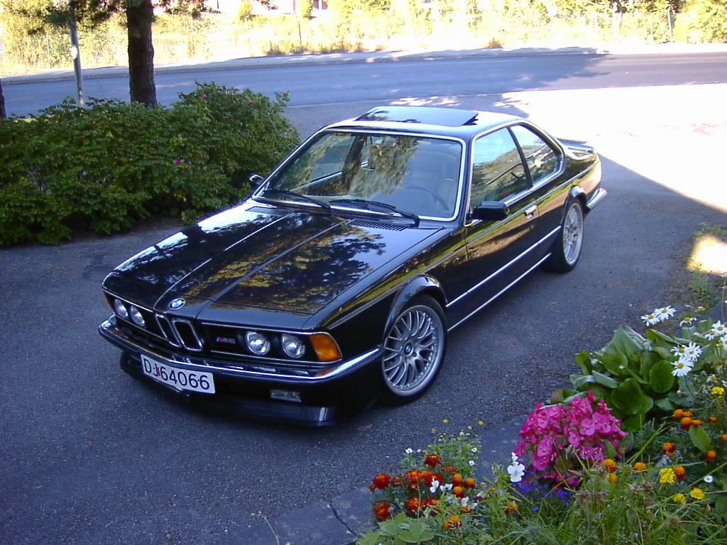 DSC00095.jpg?t=1185984033