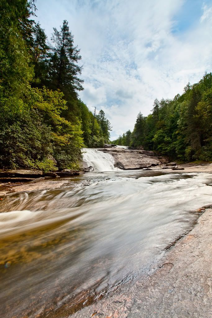 IMAGE: http://i206.photobucket.com/albums/bb83/delarosaIII/4I1U4050copy.jpg