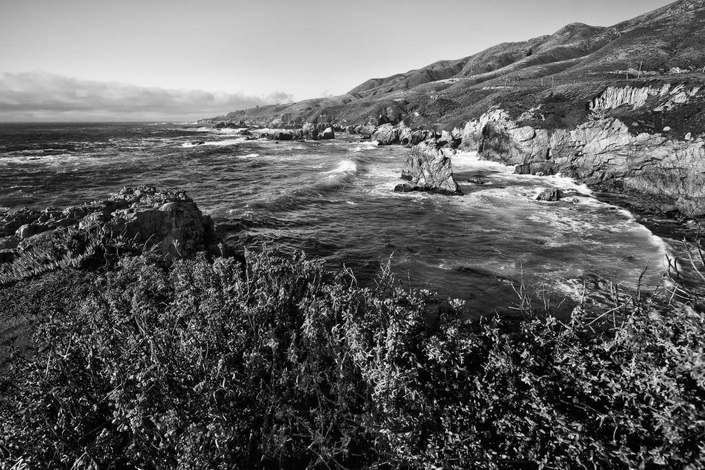 IMAGE: http://i206.photobucket.com/albums/bb83/delarosaIII/4I1U5009.jpg