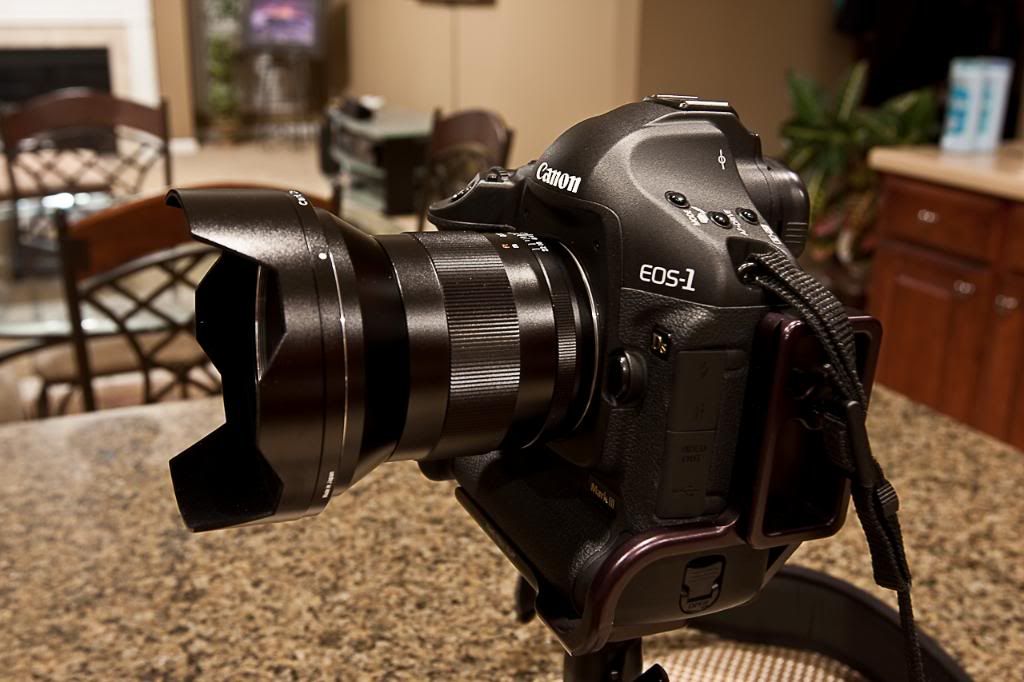 IMAGE: http://i206.photobucket.com/albums/bb83/delarosaIII/IMG_1337.jpg