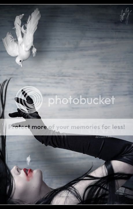 Photo Sharing and Video Hosting at Photobucket