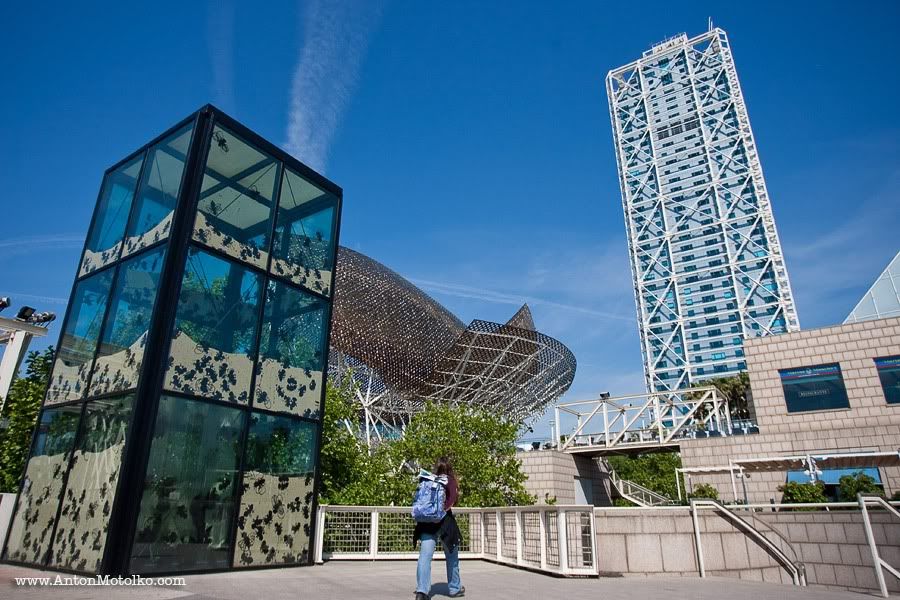 Barcelona photos | Фотографии Барселоны