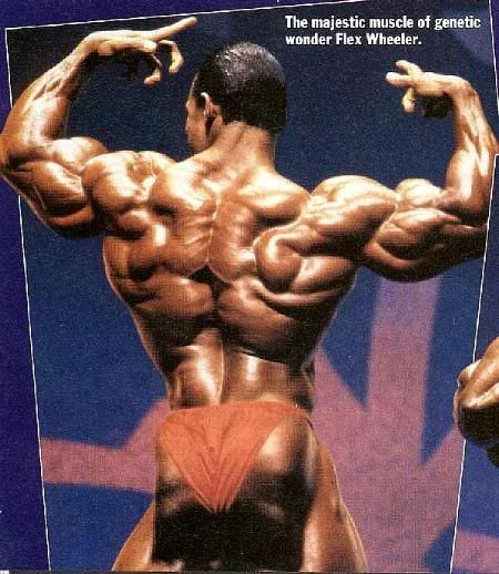 Flex_Wheeler_426.jpg