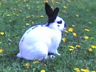 11-05-08_1046.jpg