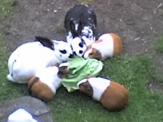 11-06-07_0905.jpg