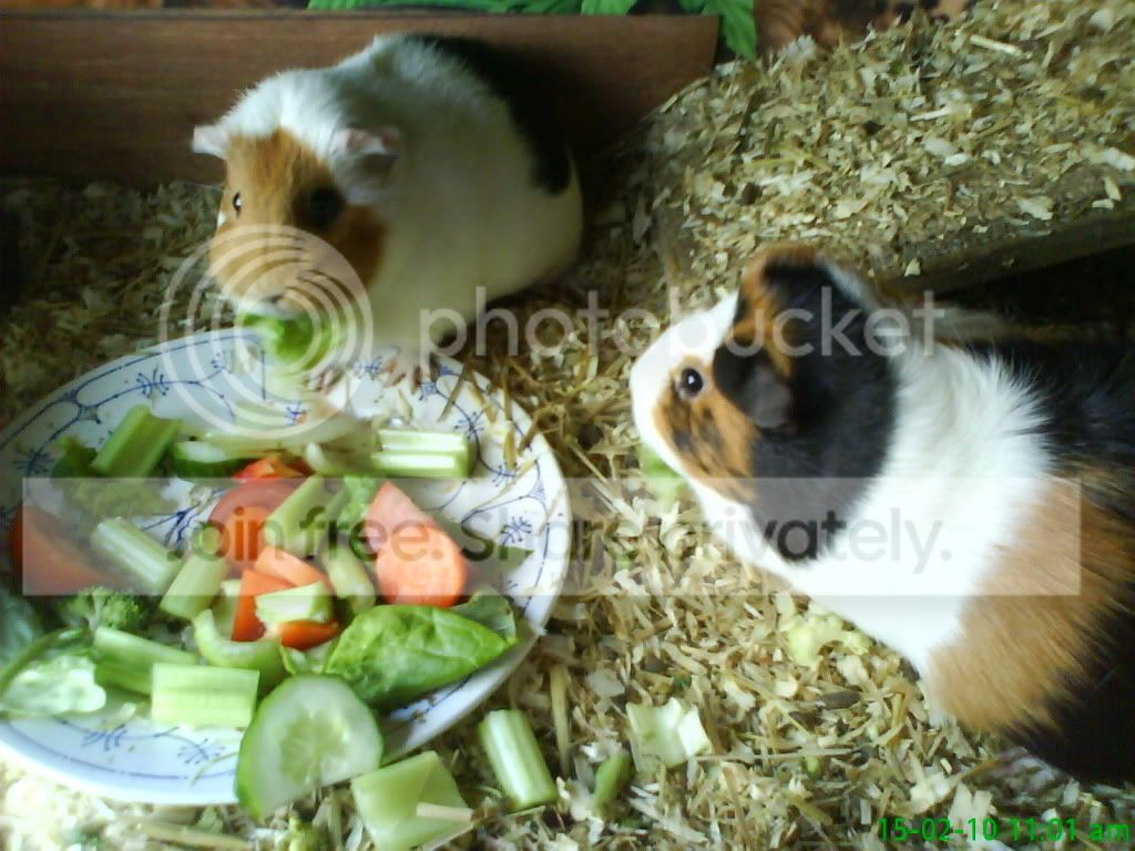 DSC00305.jpg