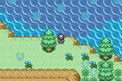 ^^ *Pokémon Darkblue Version* ^^ [BETA 1 Available]